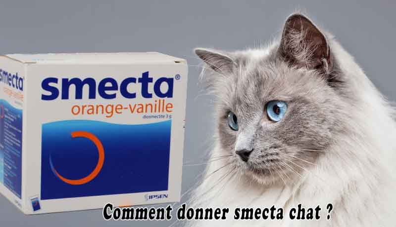 Comment Donner Smecta Chat